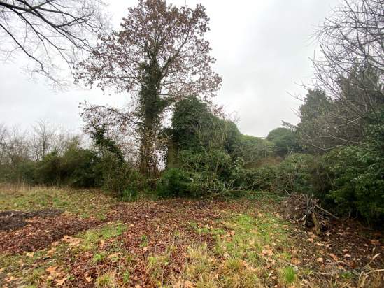 Villa in vendita a Noventa Padovana (Padova) foto-220794