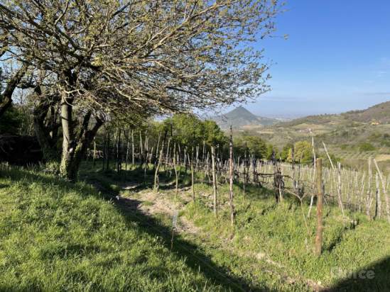 Rustico in vendita a Cinto Euganeo (Padova) foto-1328864