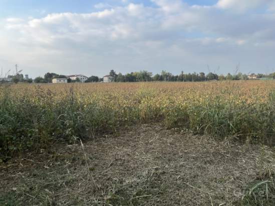 Terreno in vendita a Cervarese Santa Croce (Padova) foto-1342292