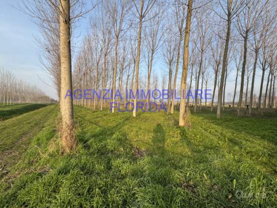 Terreno in vendita a Camposampiero (Padova) foto-224753