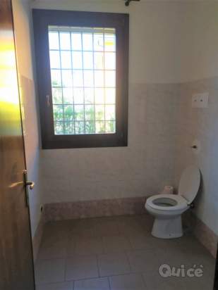 Negozio in affitto a Cervarese Santa Croce (Padova) foto-1351544