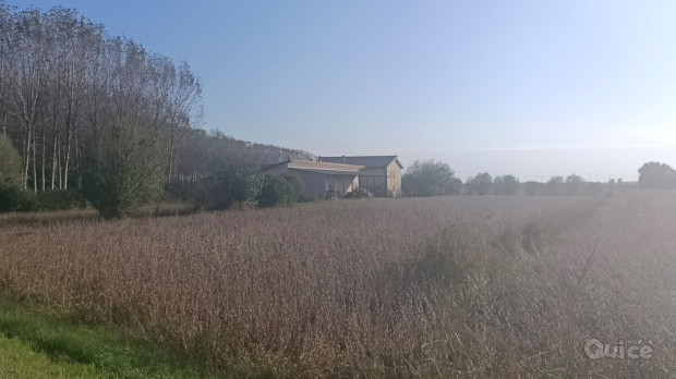 Singola foto-1375546