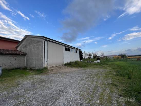 Capannone in vendita a Codevigo (Padova) foto-231627