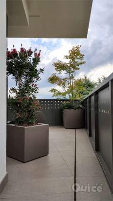 Conegliano-S.Lucia Appartamenti 3 Camere 736con a Santa Lucia di Piave foto-1531277