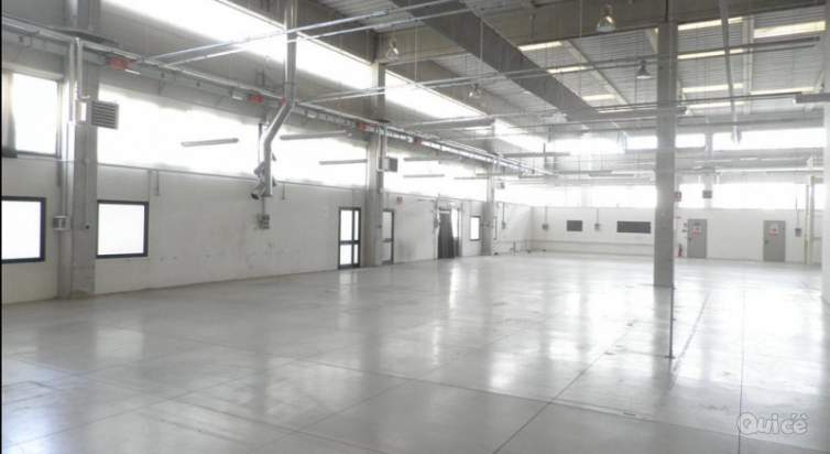 Capannone in affitto a Limena (Padova) foto-259620