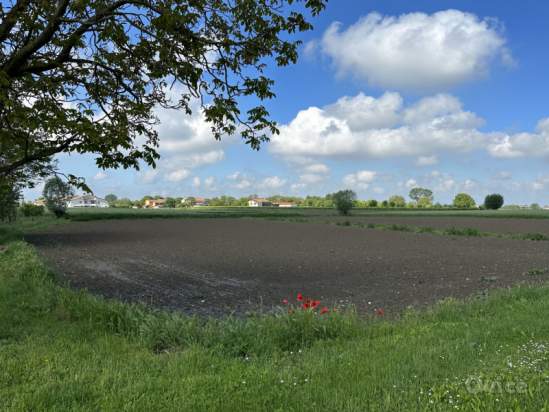 Terreno in vendita a Tribano (Padova) foto-1533110