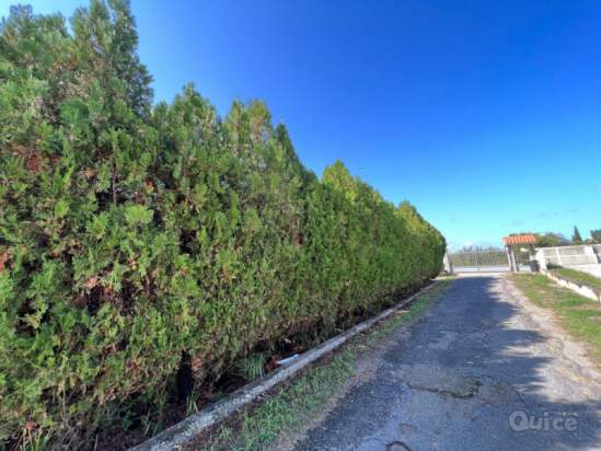 Villa in vendita a Pizzo (Vibo Valentia) foto-1534551