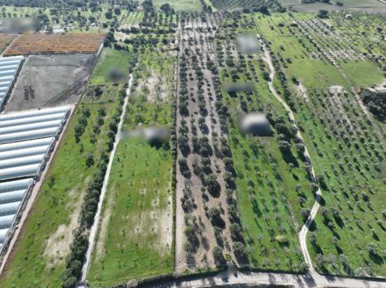 Terreno in vendita a Noto (Siracusa) foto-1534636