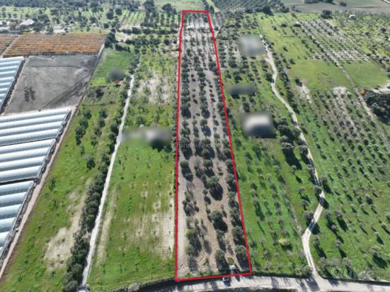 Terreno in vendita a Noto (Siracusa) foto-1534634