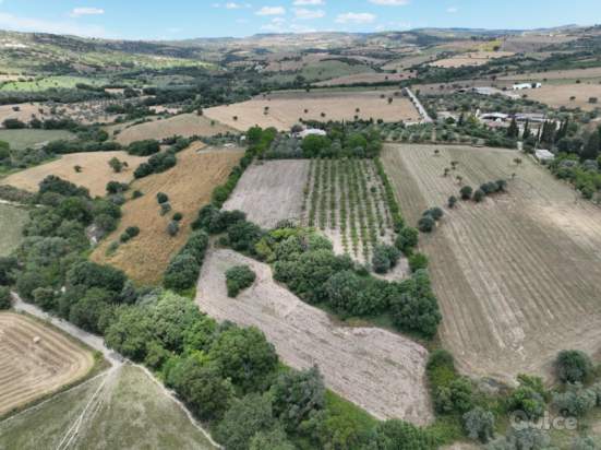 Casa singola in vendita a Noto (Siracusa) foto-1534704