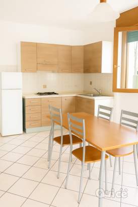 Appartamento in affitto a San Bonifacio (Verona) foto-260243