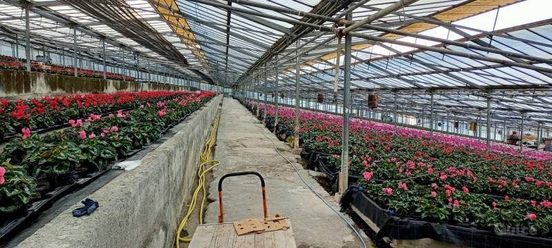 Terreno in vendita a Sanremo (Imperia) foto-260501