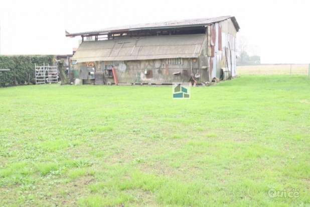 Terreno in vendita a Santa Maria di Sala (Venezia) foto-1539306