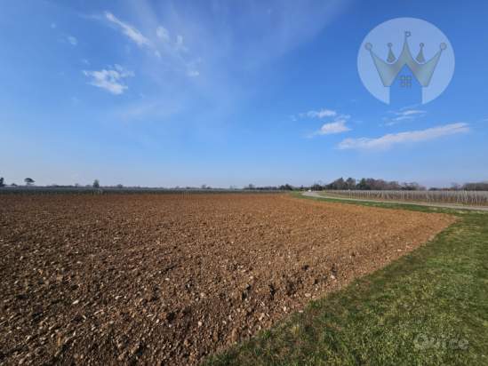 Terreno in vendita a Farra d'Isonzo (Gorizia) foto-261146