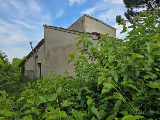 Casa singola in vendita a Agna (Padova) foto-1539559