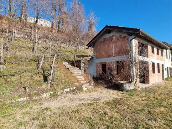 VIGNETO a Farra di Soligo foto-1545056