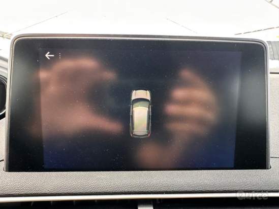 PEUGEOT 3008 foto-1548007