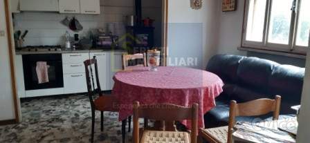 Bifamiliare in vendita a Ceneselli (Rovigo) foto-1550281