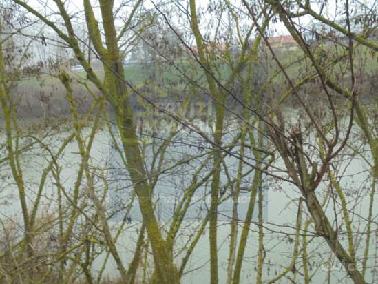 Casa singola in vendita a Fratta Polesine (Rovigo) foto-1550322