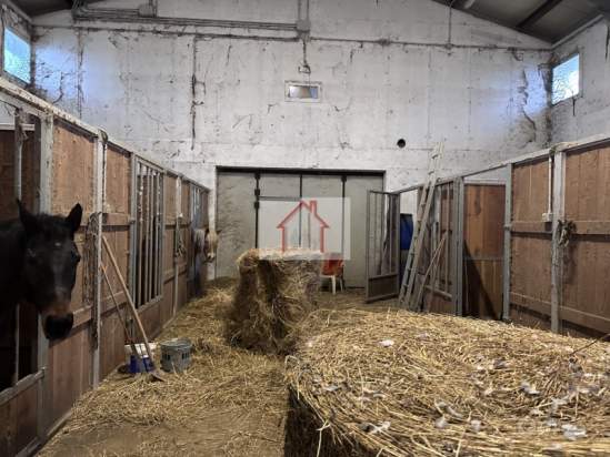 Magazzino in affitto a Spresiano (Treviso) foto-263128