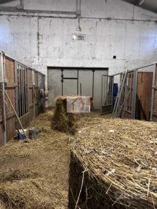 Magazzino in affitto a Spresiano (Treviso) foto-1551008