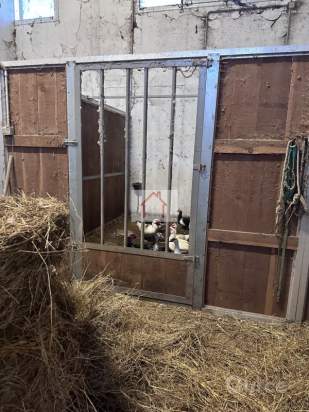 Magazzino in affitto a Spresiano (Treviso) foto-1551010