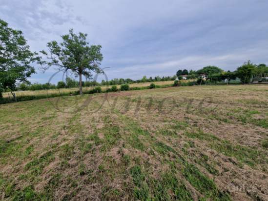 Casa singola in vendita a Pianiga (Venezia) foto-1551075