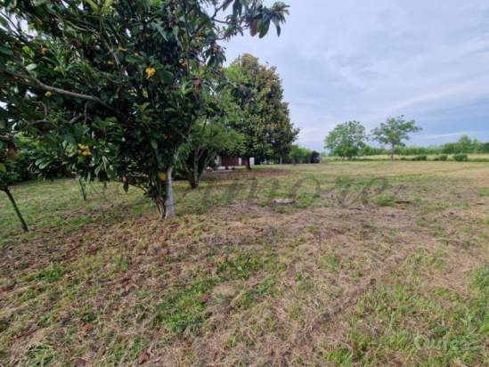 Casa singola in vendita a Pianiga (Venezia) foto-1551074