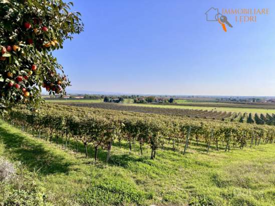 Terreno in vendita a Sommacampagna (Verona) foto-1551523