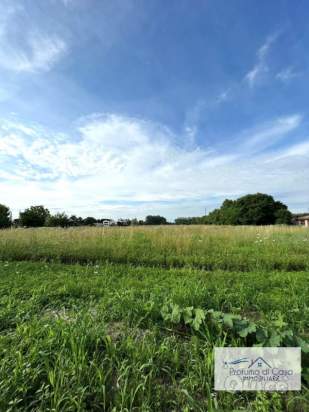 Terreno in vendita a Stra (Venezia) foto-1551835