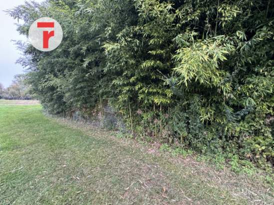 Rustico in vendita a Resana (Treviso) foto-1552850