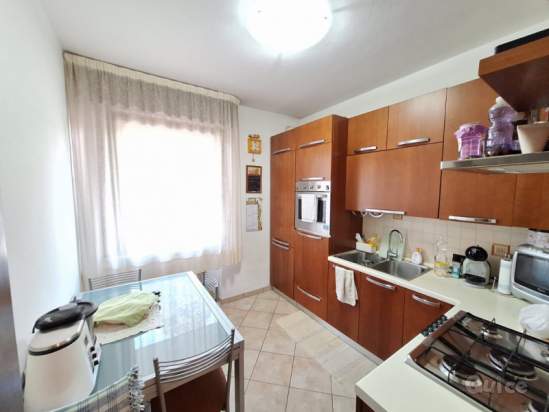 Appartamento in vendita a Rovigo (Rovigo) foto-1555034