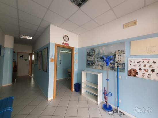 Negozio in vendita a Rovigo (Rovigo) foto-264040