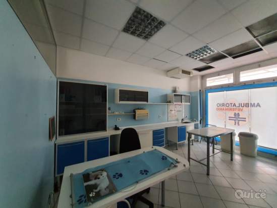 Negozio in vendita a Rovigo (Rovigo) foto-1555131