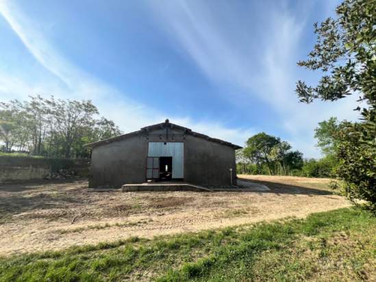 Capannone in vendita a Alonte (Vicenza) foto-1555510