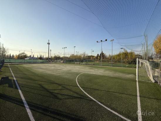 Attivita commerciale in affitto a Verona (Verona) foto-1555644