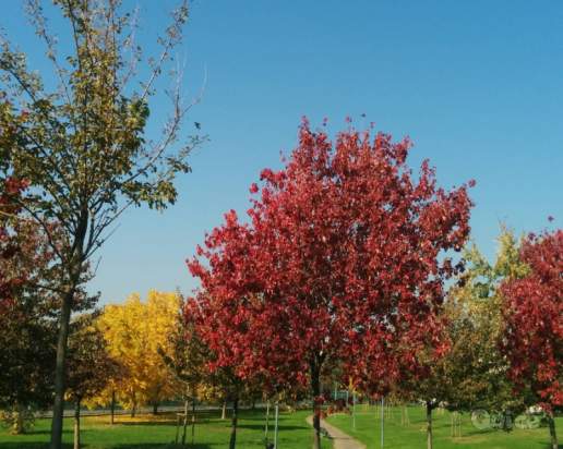 Appartamento in vendita a Milano (Milano) foto-1556173