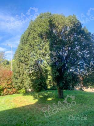 Casa singola in vendita a Salizzole (Verona) foto-1556357