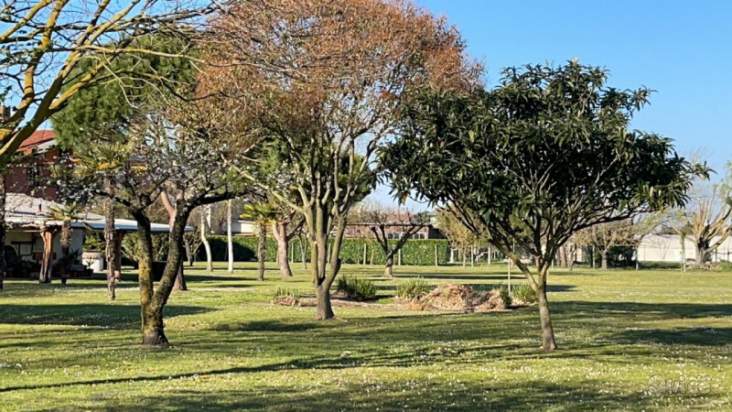 Terreno in vendita a Cavallino-Treporti (Venezia) foto-1557112