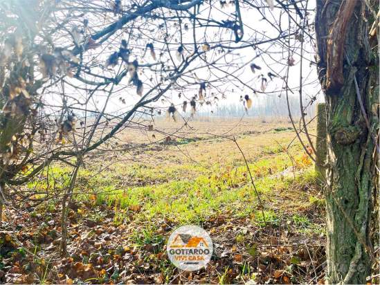 MERLENGO - Terreno  Agricolo - 704MER a Ponzano Veneto foto-1558362