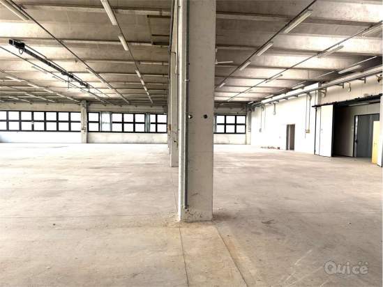 Capannone in Vendita a Treviso 790TRE a Treviso foto-1564409