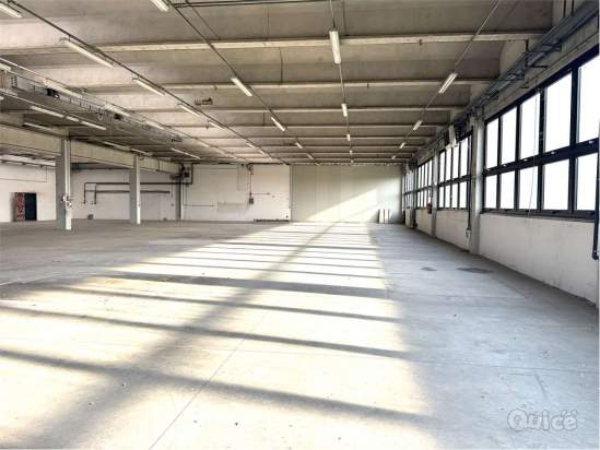 Capannone in Vendita a Treviso 790TRE a Treviso foto-265969