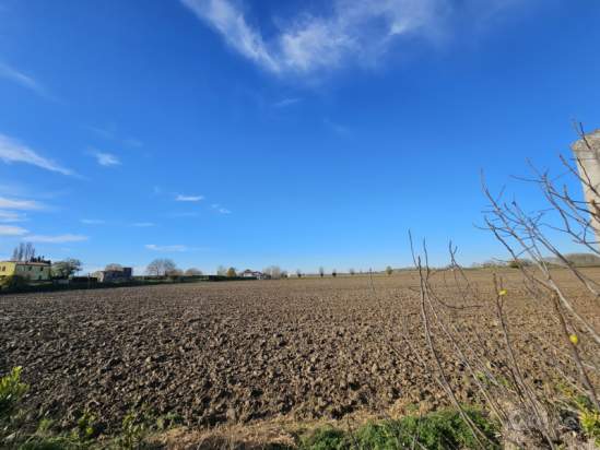 Terreno in vendita a Vescovana (Padova) foto-1588417
