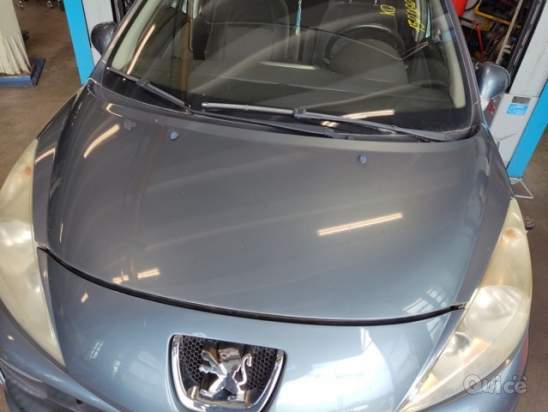 Ricambi PEUGEOT 207 1400cc benzina  del 2007 foto-1593384