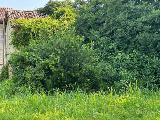 MIRA Terreno Edificabile di circa 1850 MQ foto-1597849
