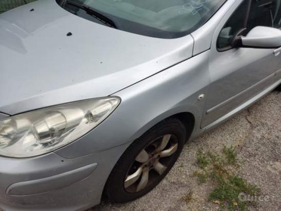 Parafango sinistro PEUGEOT 307  del 2007 foto-273231