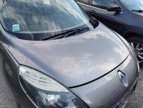 Cofano RENAULT SCENIC del 2010 foto-273898