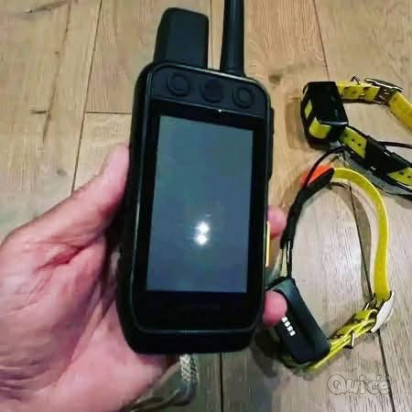 Dispositivo portatile Garmin e collare Alpha 300/TT25 per il tracciamento e l'ad foto-1607448