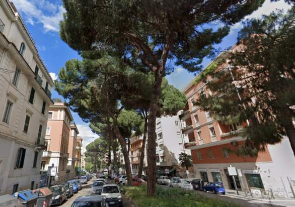 Appartamento in affitto a Roma (Roma) foto-538108