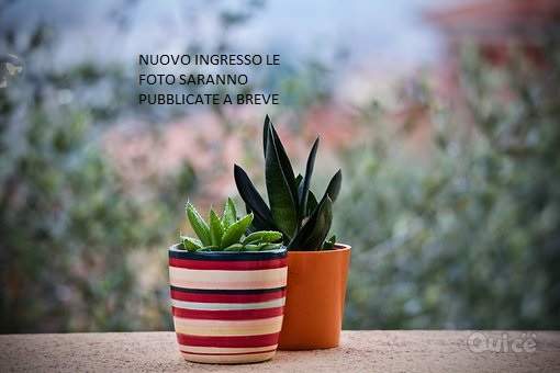 Rustico in vendita a Marcon (Venezia) foto-575832